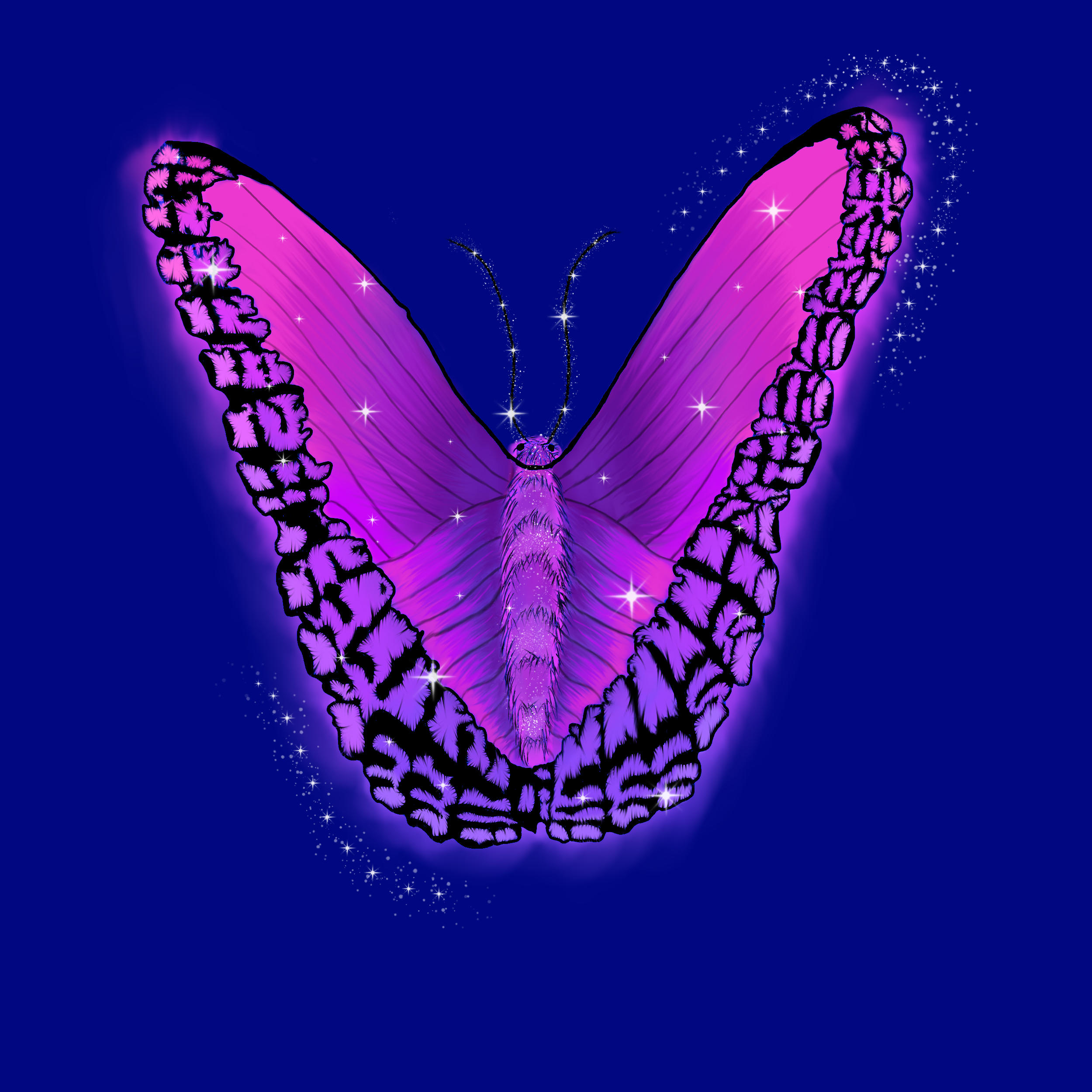 Sarah Bullock Butterfly Graphic Design